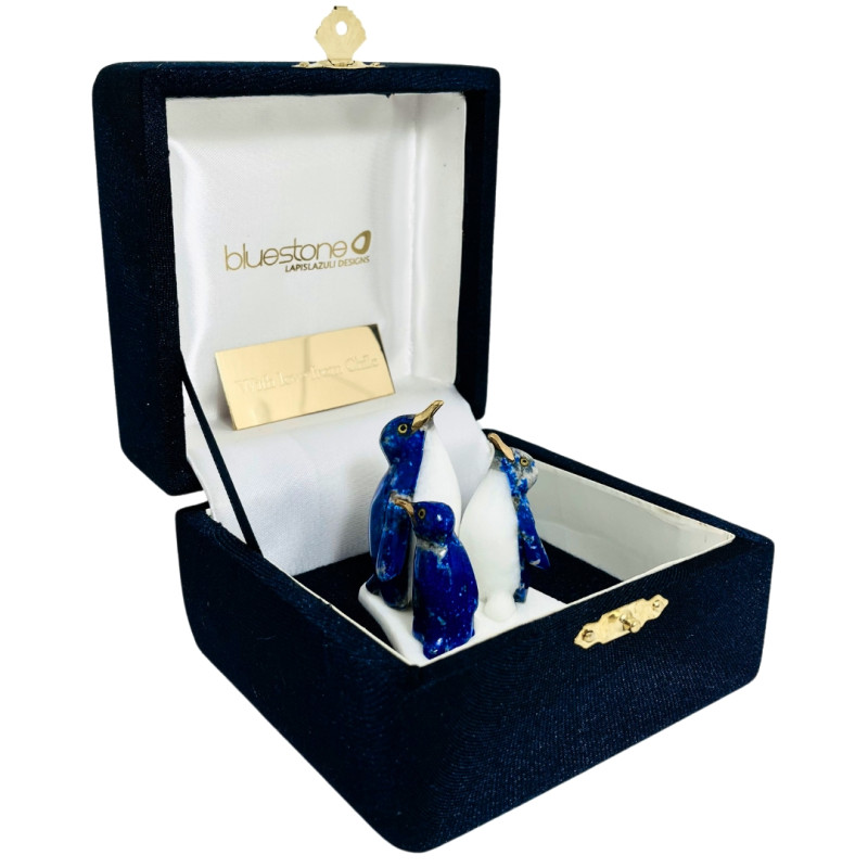 Familia de Pingüinos con Estuche de Regalo